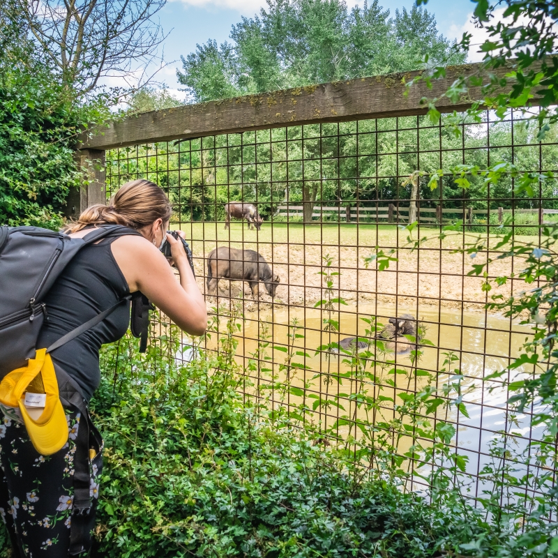Ontdek het park - De Zonnegloed - Dierenpark - Dieren opvangcentrum - Sanctuary