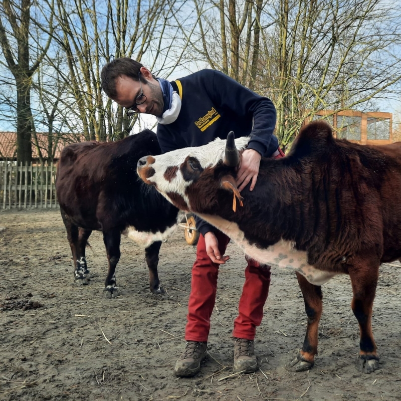 Word vrijwilliger - De Zonnegloed - Dierenpark - Dieren opvangcentrum - Sanctuary