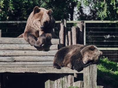 Herstellen en genezen bij De Zonnegloed: zorg voor het leven