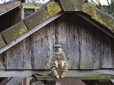 Hoe &eacute;&eacute;n bezoeker een verschil kan maken