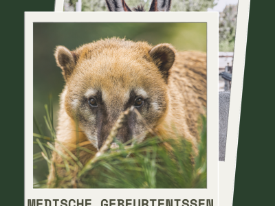 Medische gebeurtenissen Januari 2024