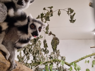 Tess en Greta zijn gearriveerd bij De Zonnegloed!